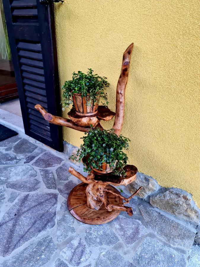 Casa Villanova Homes Nova Vas nad Dragonjo Ngoại thất bức ảnh